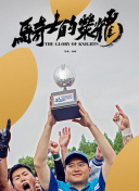 优化网站内链结构提升百度搜索引擎友好性